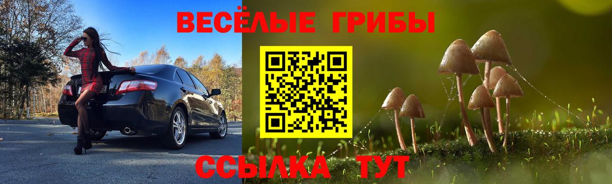 Псилоцибиновые грибы Psilocybe  Вход с VPN  Псилоцибиновые грибы Psilocybe  Кимовск 